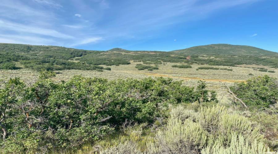 24 OAK PARK DR., Park City, Utah 84060, ,Land,For Sale,OAK PARK DR.,1869336