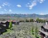 2321 WESTVIEW TRL, Park City, Utah 84098, ,Land,For Sale,WESTVIEW,1878421