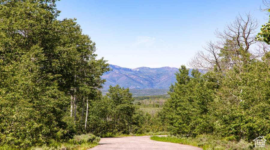 9482 FOREST CREEK RD, Heber City, Utah 84032, ,Land,For Sale,FOREST CREEK,1810825