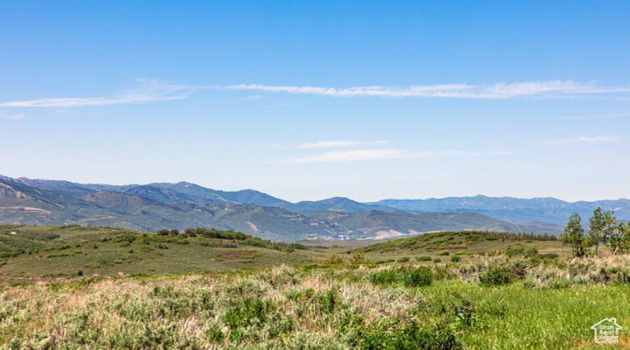 9482 FOREST CREEK RD, Heber City, Utah 84032, ,Land,For Sale,FOREST CREEK,1810825