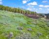 6902 PAINTED VALLEY PASS, Park City, Utah 84098, ,Land,For Sale,PAINTED VALLEY,1997898