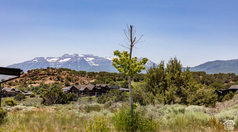 2884 BROWN DUCK MOUNTAIN CIR, Heber City, Utah 84032, ,Land,For Sale,BROWN DUCK MOUNTAIN,2005507