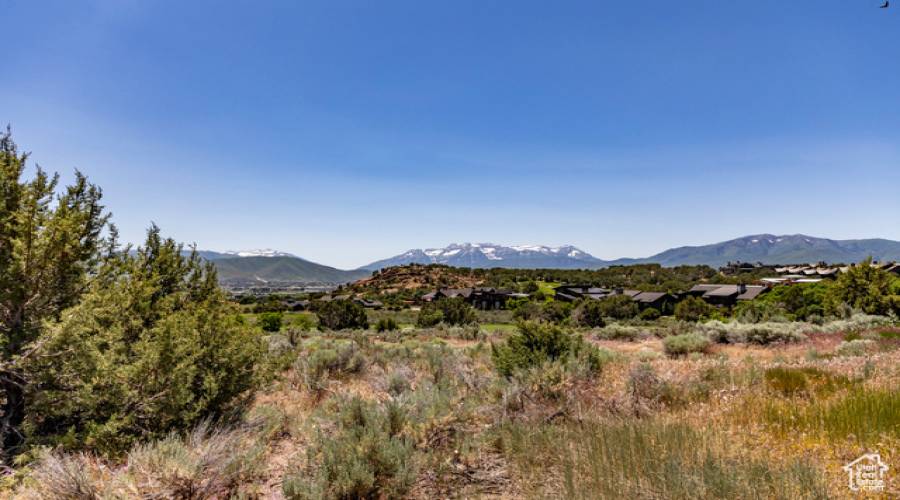 2884 BROWN DUCK MOUNTAIN CIR, Heber City, Utah 84032, ,Land,For Sale,BROWN DUCK MOUNTAIN,2005507