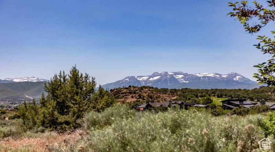 2884 BROWN DUCK MOUNTAIN CIR, Heber City, Utah 84032, ,Land,For Sale,BROWN DUCK MOUNTAIN,2005507