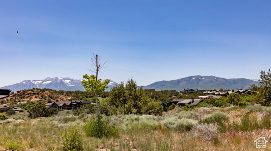 2884 BROWN DUCK MOUNTAIN CIR, Heber City, Utah 84032, ,Land,For Sale,BROWN DUCK MOUNTAIN,2005507