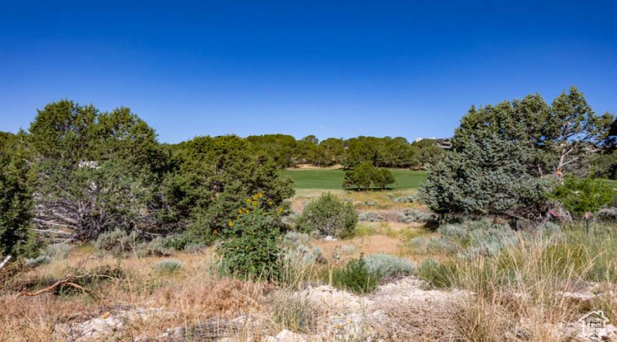 581 RED MOUNTAIN CT, Heber City, Utah 84032, ,Land,For Sale,RED MOUNTAIN,1891772