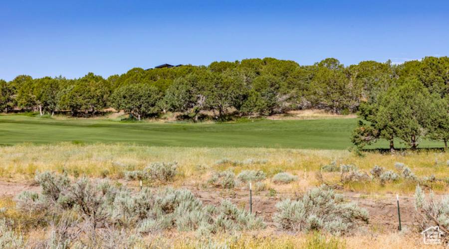 581 RED MOUNTAIN CT, Heber City, Utah 84032, ,Land,For Sale,RED MOUNTAIN,1891772