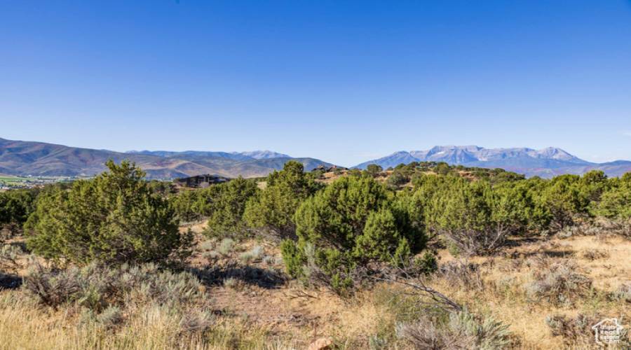 3166 HORSE MOUNTAIN CIR, Heber City, Utah 84032, ,Land,For Sale,HORSE MOUNTAIN,2016479