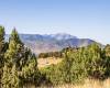 3166 HORSE MOUNTAIN CIR, Heber City, Utah 84032, ,Land,For Sale,HORSE MOUNTAIN,2016479