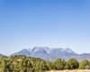 3166 HORSE MOUNTAIN CIR, Heber City, Utah 84032, ,Land,For Sale,HORSE MOUNTAIN,2016479