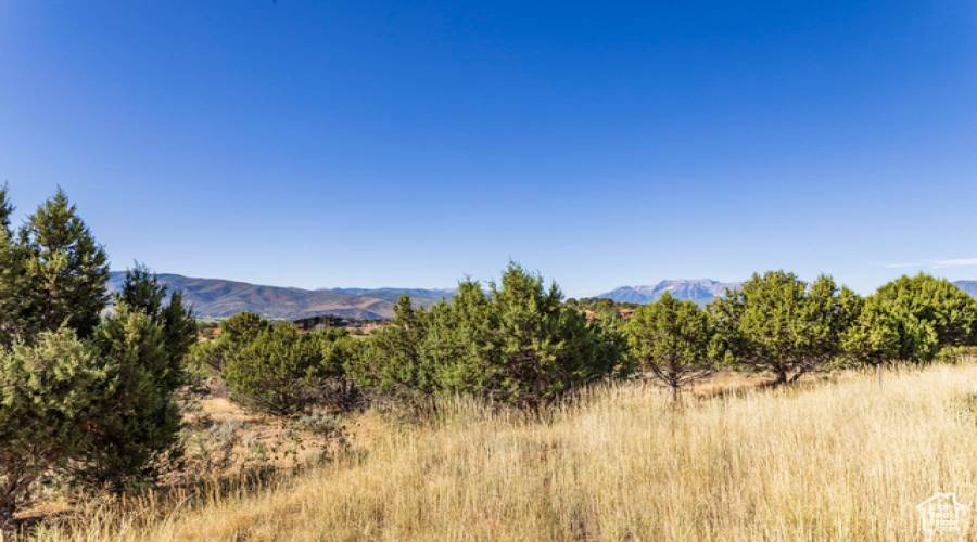 3166 HORSE MOUNTAIN CIR, Heber City, Utah 84032, ,Land,For Sale,HORSE MOUNTAIN,2016479