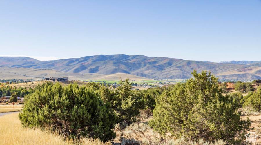 3166 HORSE MOUNTAIN CIR, Heber City, Utah 84032, ,Land,For Sale,HORSE MOUNTAIN,2016479