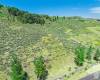 6237 PAINTED VALLEY PASS, Park City, Utah 84098, ,Land,For Sale,PAINTED VALLEY,2017102