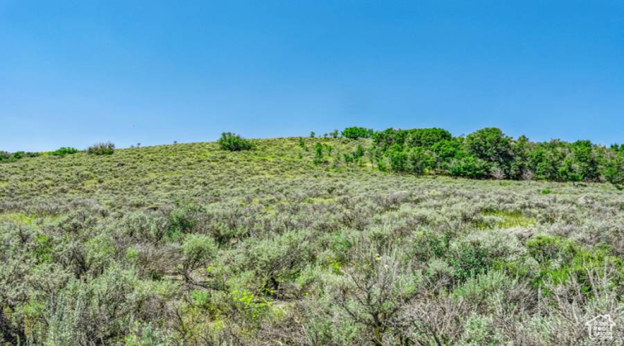 6237 PAINTED VALLEY PASS, Park City, Utah 84098, ,Land,For Sale,PAINTED VALLEY,2017102