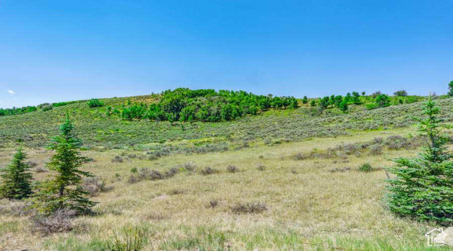 6297 PAINTED VALLEY PASS, Park City, Utah 84098, ,Land,For Sale,PAINTED VALLEY,2017171