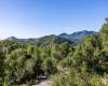 8791 NORTHCOVE DR, Park City, Utah 84098, ,Land,For Sale,NORTHCOVE,2019665