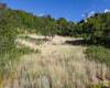 8791 NORTHCOVE DR, Park City, Utah 84098, ,Land,For Sale,NORTHCOVE,2019665