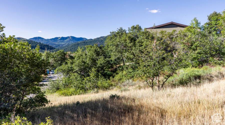 8791 NORTHCOVE DR, Park City, Utah 84098, ,Land,For Sale,NORTHCOVE,2019665