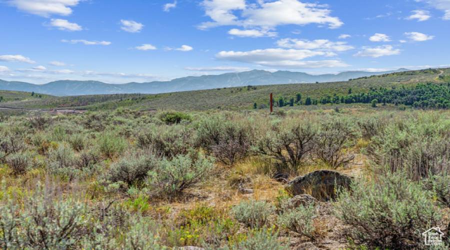 5760 DOUBLE DEER DR, Park City, Utah 84098, ,Land,For Sale,DOUBLE DEER,2020170