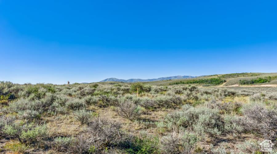 5760 DOUBLE DEER DR, Park City, Utah 84098, ,Land,For Sale,DOUBLE DEER,2020170