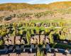 3126 LOWER SADDLEBACK RD, Park City, Utah 84098, 4 Bedrooms Bedrooms, 15 Rooms Rooms,2 BathroomsBathrooms,Residential,For Sale,LOWER SADDLEBACK,2030982