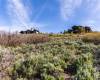 3727 TUHAYE HOLLOW, Kamas, Utah 84036, ,Land,For Sale,TUHAYE HOLLOW,2020028