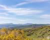 3727 TUHAYE HOLLOW, Kamas, Utah 84036, ,Land,For Sale,TUHAYE HOLLOW,2020028