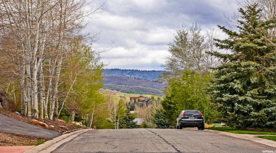 3161 HOMESTEAD RD, Park City, Utah 84098, ,Land,For Sale,HOMESTEAD,1815231