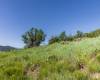 926 UPLAND LOOP, Midway, Utah 84049, ,Land,For Sale,UPLAND,1853364