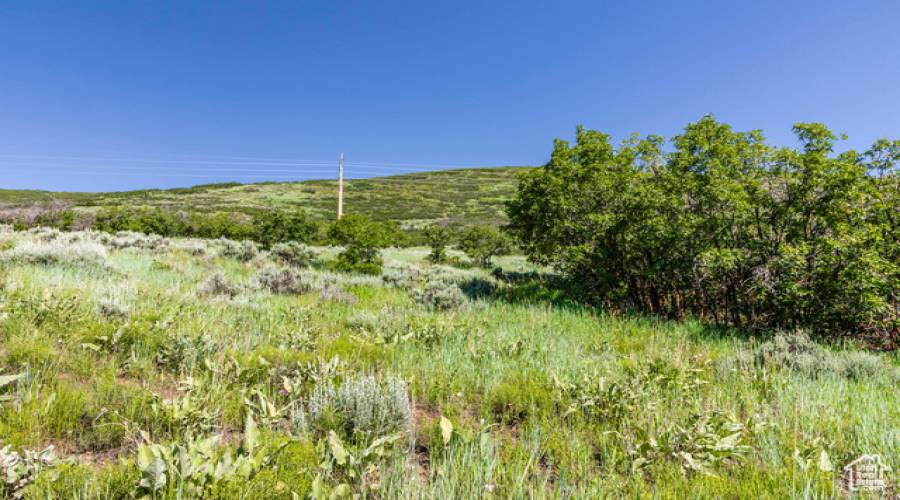 926 UPLAND LOOP, Midway, Utah 84049, ,Land,For Sale,UPLAND,1853364