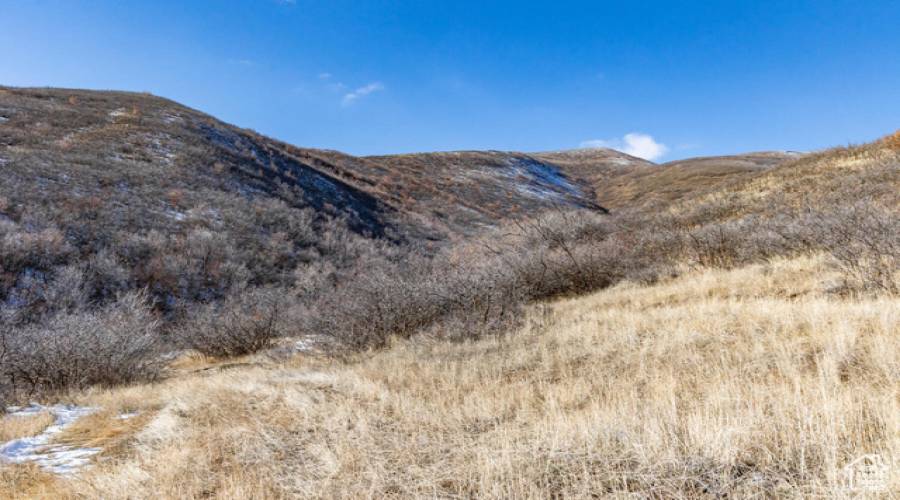 926 UPLAND LOOP, Midway, Utah 84049, ,Land,For Sale,UPLAND,1853364