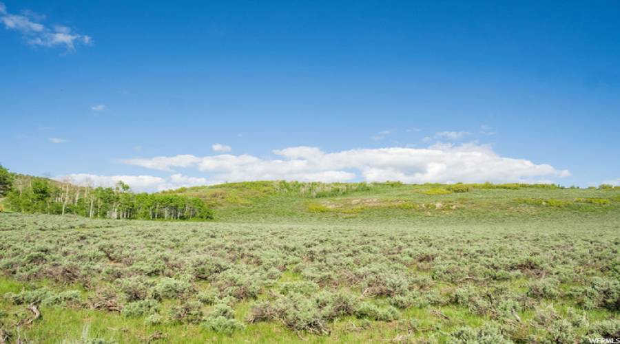 7367 FOREST RD, Heber City, Utah 84032, ,Land,For Sale,FOREST,1866329