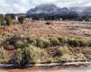 1277 CACTUS DR, Apple Valley, Utah 84737, ,Land,For Sale,CACTUS,1869511