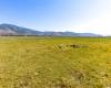 553 200, Kamas, Utah 84036, ,Land,For Sale,200,1769529